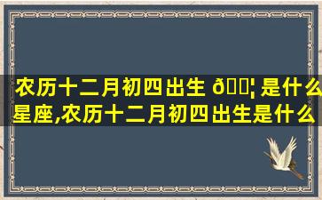 农历十二月初四出生 🐦 是什么星座,农历十二月初四出生是什么星座卯时生男孩命运